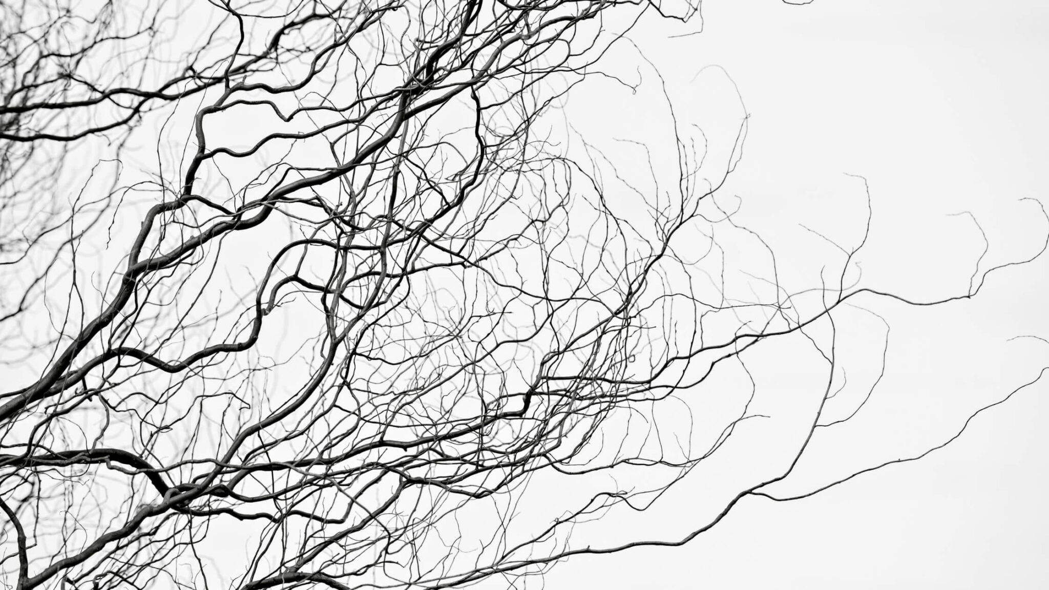 Can Neuropathy Really Be Treated Without Surgery or Drugs in Fresno CA